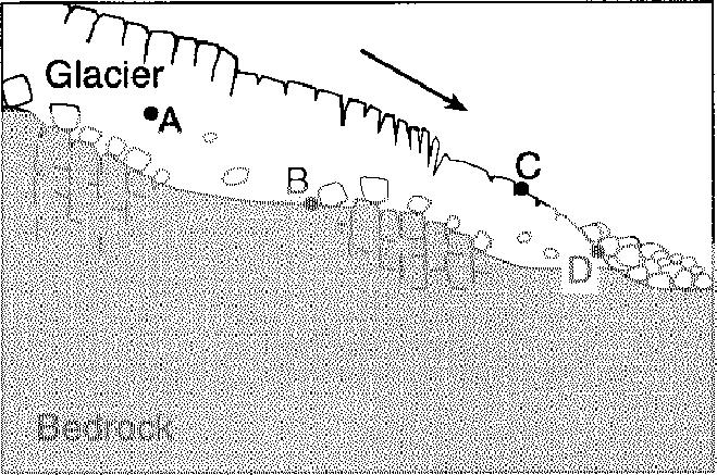 The cross section below represents the transport of sediments by a glacier.