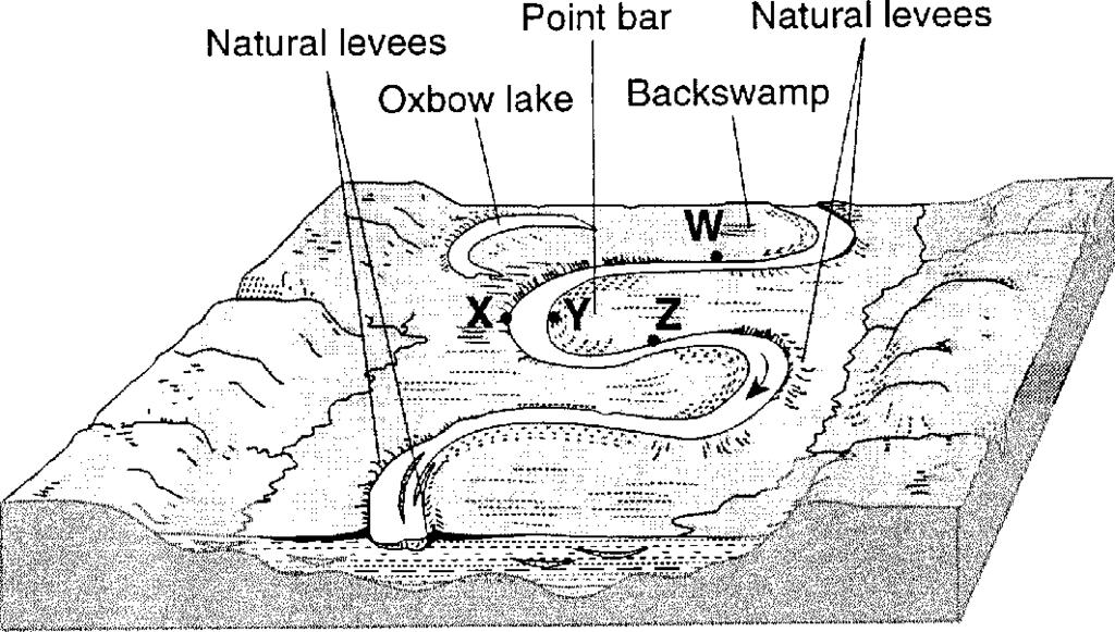 The diagram represents the landscape features associated with a meandering stream. Points W, X, Y, and Z are locations along the stream bank. The grooves were most likely caused by. stream erosion.