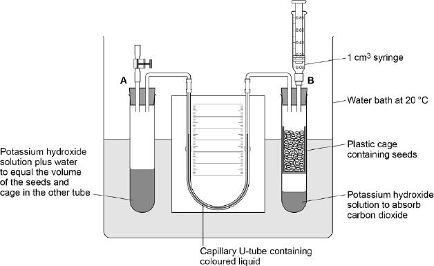 Q5.The figure below shows the apparatus used for measuring the rate of oxygen consumption in aerobic respiration by seeds.