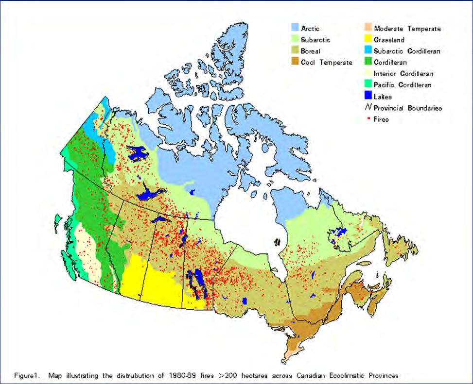 Large Fire Occurrence in Canada There is large annual variation in the fire