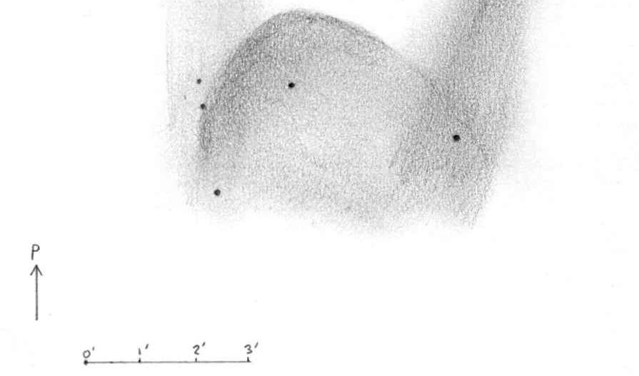 Drawing Emission Nebulae Ngc 6888, Crescent Nebula 10 Dobsonian 76x, OIII, l.mag 6.0 Llanafan, nr.