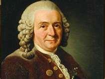 Carolus Linnaeus did it better Father of modern classification Based his system on homologous structures