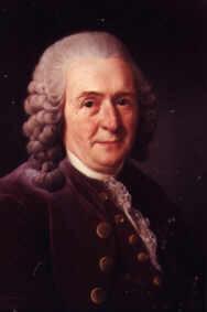 Carolus Linnaeus 1707 1778 18th century taxonomist Classified