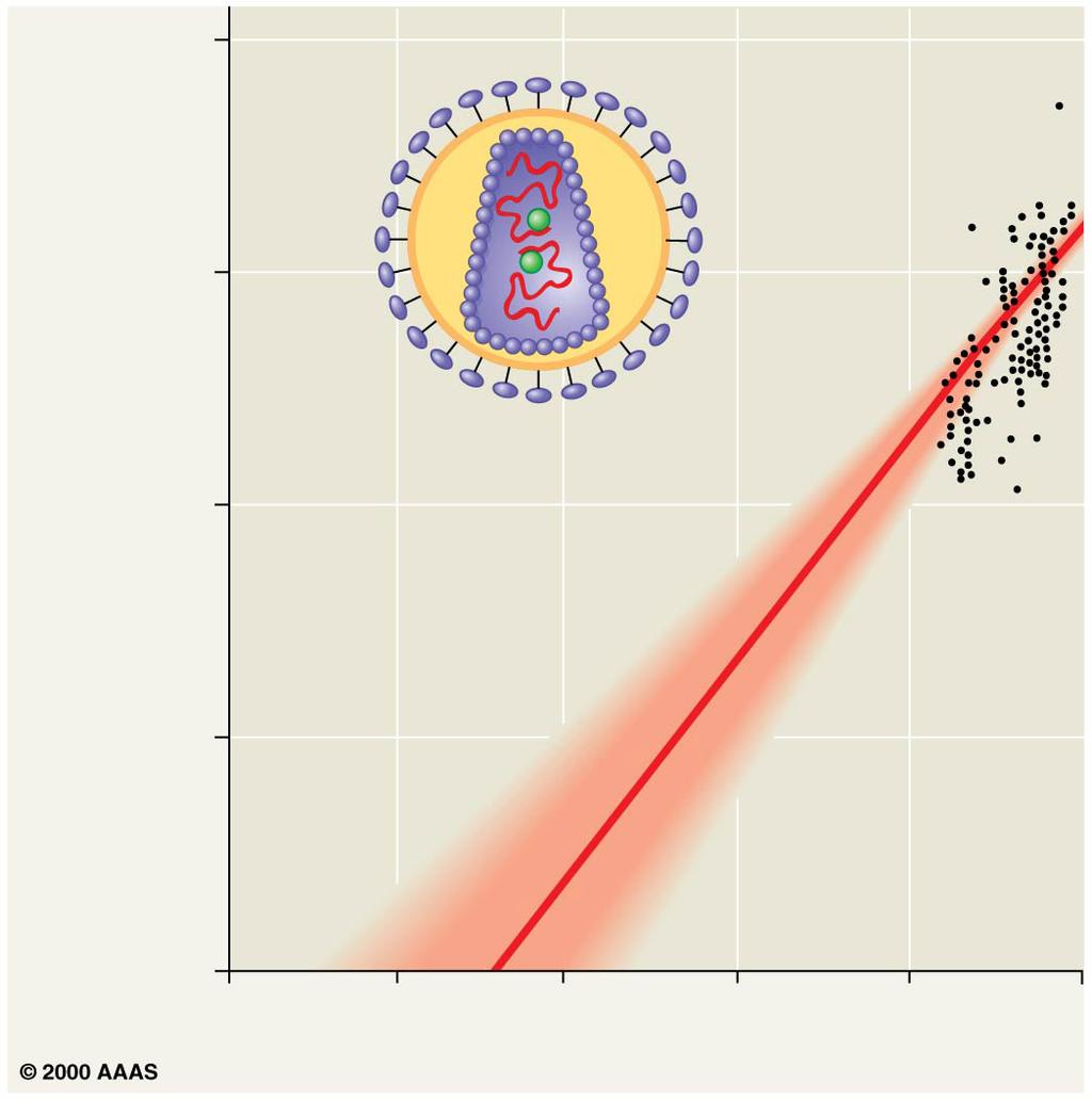 Figure 26.20 0.20 Cell division error Index of base changes between HIV gene sequences 0.15 0.10 0.