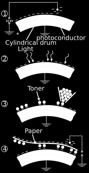 A photoconductor is a semiconductor that becomes conductive when exposed to light.