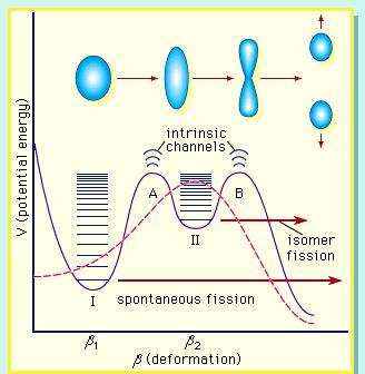 Fission Isomers Some isomeric states in heavy nuclei decay by spontaneous fission with very short half lives Nano- to microseconds Fissioning isomers are states in these second potential wells Also