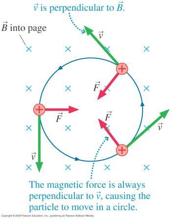 It experiences a magnetic force to the left, as shown. What is the direction of the magnetic field? A.Left or right B.