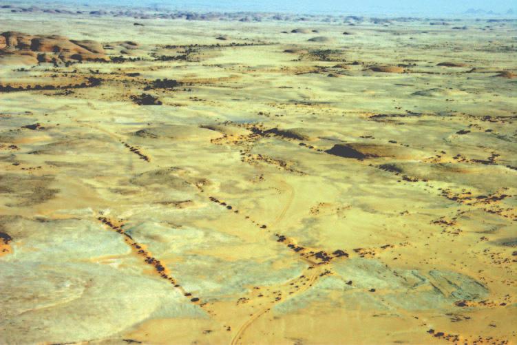 Geomorphology 149 Figure 6.22 Wind abraded surfaces downwind of yardang zone north-east of Al Ula (Photo: author). arise from these observations.