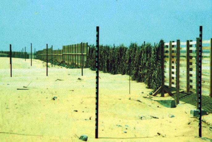 Environmental impacts and hazards 217 Figure 9.1 Sand fence control experiments conducted by the Research Institute, King Fahd University of Petroleum and Minerals (Photo: author).