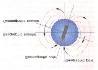 The Earth s Magnetic Field If like magnetic poles repel, why does the north pole of