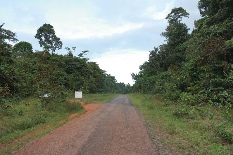 THE COLEOPTERISTS BULLETIN 69(4), 2015 599 Fig. 37. Hoplopyga cerdani habitat at Montagne de Kaw, Régina, French Guiana. Photograph courtesy of F. Lavalette.