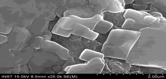 Figure 4: SEM image of silver nanoparticles prepared using Azadirachta indica (Neem) leaf extract Scanning electron microscopy provided the morphology and size details of the silver nanoparticles.