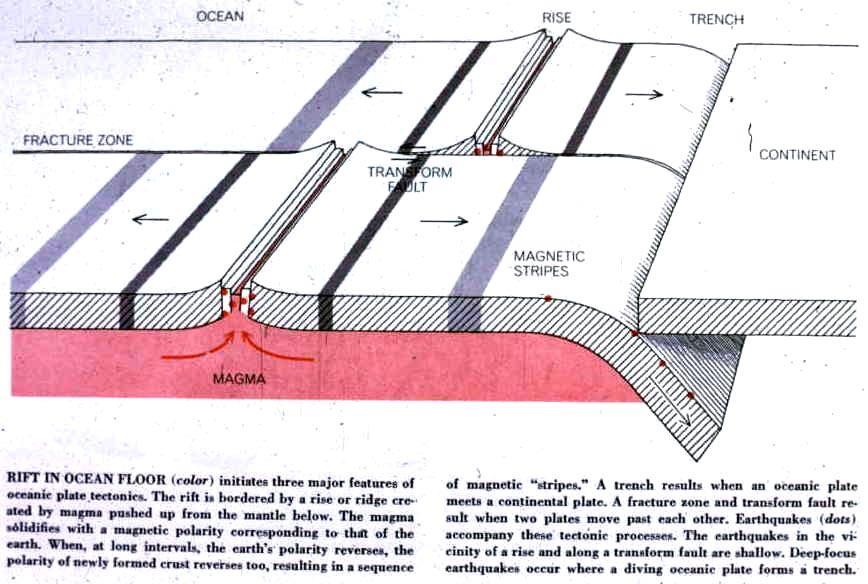 Three types of plate boundaries (1) spreading centers, (2) subduction
