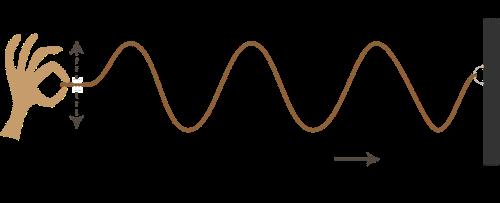 Unit 4 Parent Guide: Waves What is a wave? A wave is a disturbance or vibration that carries energy from one location to another.
