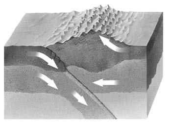Compression Forces Cause Reverse Faults Lithosphere Mountain