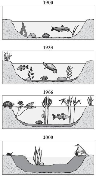 2008, Question 7: Multiple-Choice Standard: Earth's History - 6 The four pictures below show how a pond environment changed from 1900 to 2000.