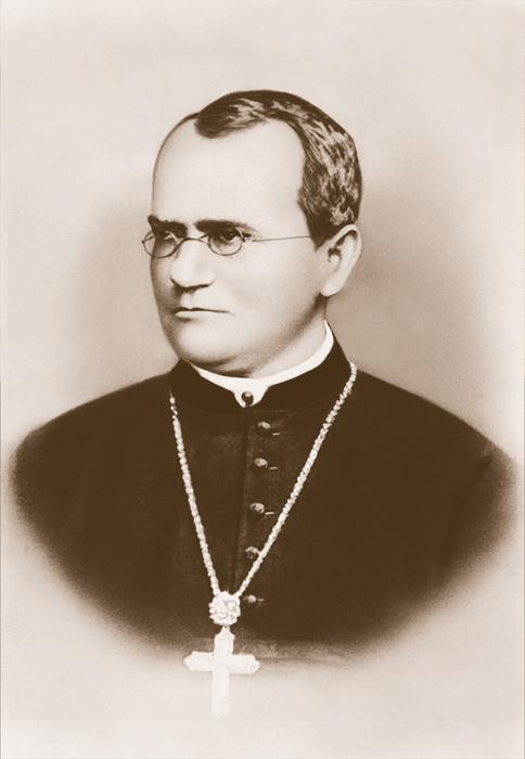 Gregor Mendel Laid the groundwork for genetics traits are distinguishing characteristics