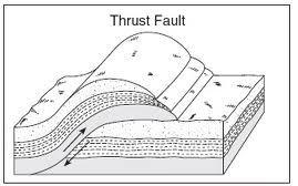 Fault A fault, perhaps caused by a compressional force, where movement is up, rather