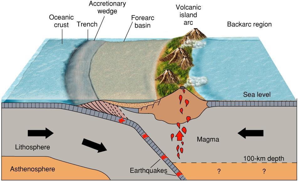 Explain the difference between the formation of an island arc and coastal volcanic mountains.