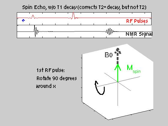 Spin Echo Movies (continued) Basic Carr-Purcell-Meiboom-Gill sequence (90 o x,, 180 o y), including T 2 decay.