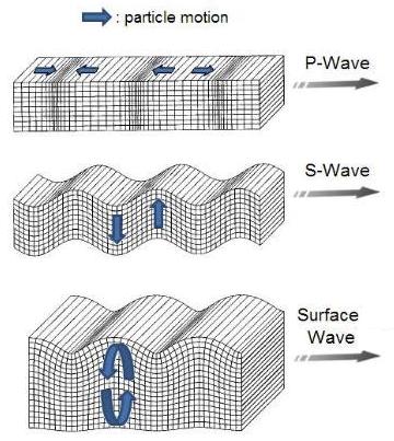 Earthquake Waves P waves longitudinal wave; S waves transverse wave; - particles move to the direction of the wave. - Almost twice as as S waves.