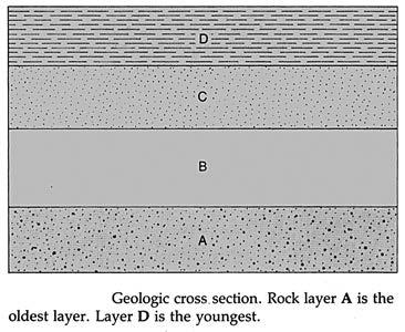 Page # Steno s Principle of Superposition states that in an undisturbed sequence of layers of sediment or of layers of sedimentary rocks the oldest layer is always on the bottom and the layering gets