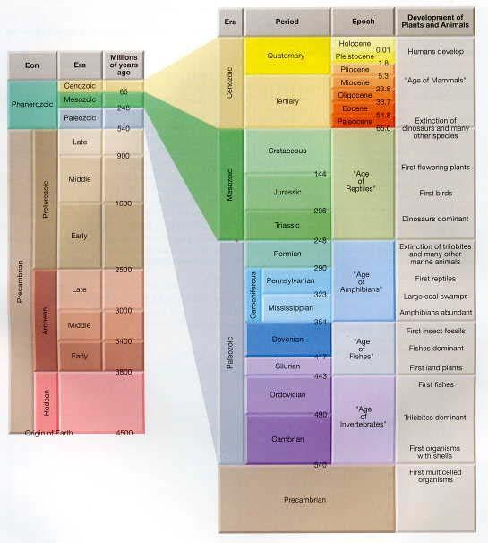 Figure 6. The Geologic Time Scale.