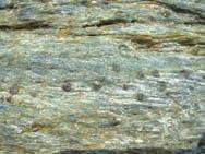 2.4 4 Metamorphic textures Metamorphic rocks are classifi ed mainly based on their texture. This is because grain size and orientation tell us a lot about the conditions of.