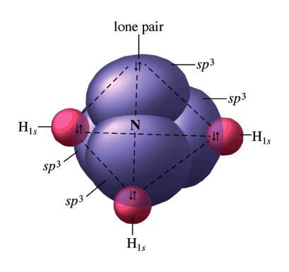 Valence Bond Theory (Hybridization) sp 3 109.5 o s p 3 h y b r i d a. o. s : CH 4 4 H C ( s p 3 ) H t e t r a h e d r a l s ( s p 3 + 1 s ) C H H H C H H NH 3 N H N H 2 p 2 s s p 3 l o n e p a i r i n s p 3 a.