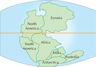 ) At least once in Earth s history, the continents were connected in large land masses. These large land masses are called supercontinents.