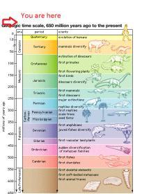 Era/Period/Epoch (Noun) Units of geologic time that have a relative (estimated)