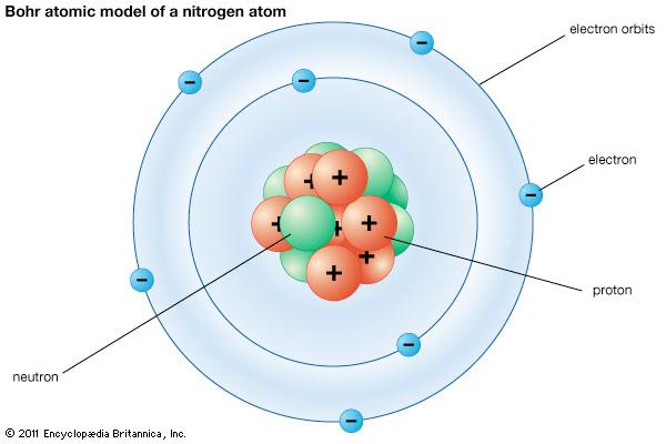 Bohr - A review electrons