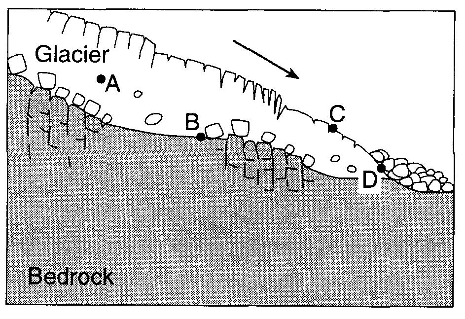 30. The cross section below represents the transport of sediments by a glacier.