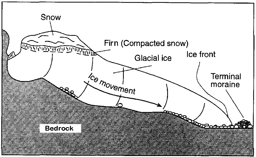1. Glaciers often form parallel scratches and grooves in bedrock because glaciers A) deposit sediment in unsorted piles B) deposit rounded sand in V-shaped valleys C) continually melt and refreeze D)