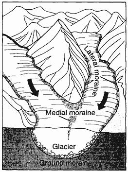26. The diagram below shows rock material being transported by a mountain glacier.