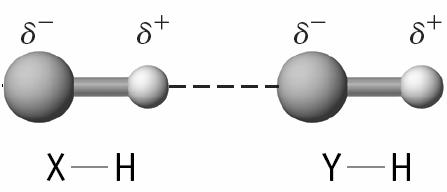 8 δ- O H δ- H O H H Mg2+ δ+ δ+ Na + Cs + δ- H O H δ+ -1922 kj/mol -405 kj/mol -263 kj/mol Dipole-Dipole Forces Influence of dipole-dipole forces is seen in the boiling points of