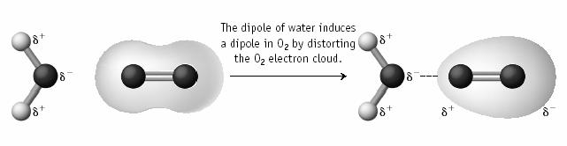 Boil Point N 2 28-196 C CO 28-192 C Br 2 160 59 o C ICl 162 97 o C 9 Hydrogen Bonding A special form of dipole-dipole attraction, which enhances dipole-dipole attractions.