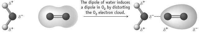FORCES INVOLVING INDUCED DIPOLES 13 FORCES INVOLVING INDUCED DIPOLES 14 Solubility increases