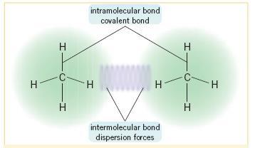 There are two types of bonding that exist between particles interparticle and intraparticle bonding.