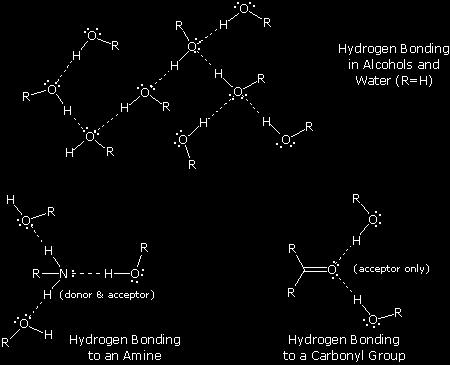 3 Important Notes: Hydrogen bonds are strong intermolecular forces as the hydrogen atom involved in this bonding essentially gives its single electron to form a bond and is therefore left unshielded.