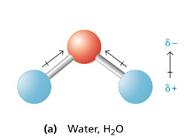 Dipole-Dipole Forces dipole a molecule or a part of a molecule that contains both partial positive