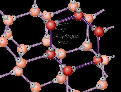 Hydrogen Bonding in Water Because of the hydrogen bonding in water, an open, rigid structure is formed when