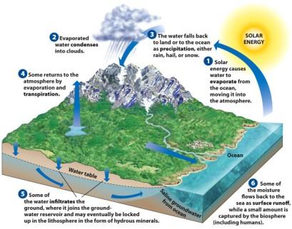 The Hydrologic Cycle Water in the Earth system Precipitation Water that has condensed in the