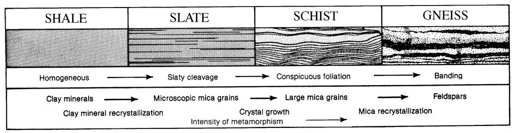 (2) A schist is a rock characterized by the parallel alignment of mica crystals. This planar fabric is called schistosity and generally results from medium-grade metamorphism.