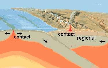 Types of Metamorphism Regional caused by high temperature and pressure in large regions of the Earth s