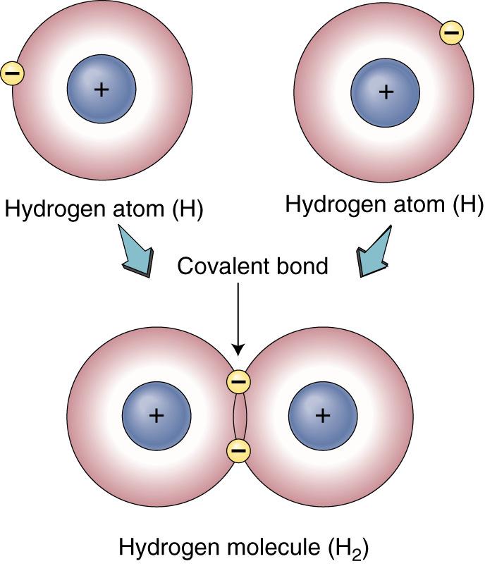 Chemical bonds When atoms from two or more different elements are combined to form a new chemical substance, a compound is formed.