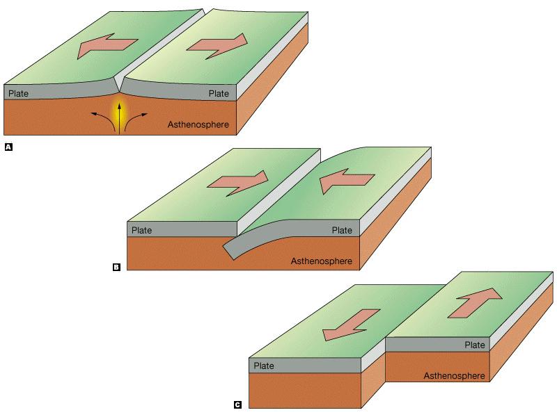 Types of Plate Boundaries: Tectonic Plates are huge pieces of crust and rigid upper mantle that fit together at their edges to cover Earth s surface. Divergent A.