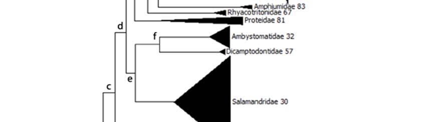 The letters denote the node identities used in the analysis of phylogenetically independent