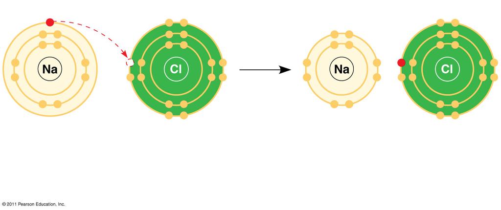 Chlorine atom Na + Sodium ion