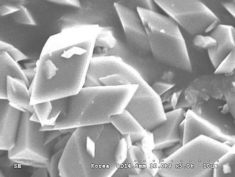 SEM images of the particles